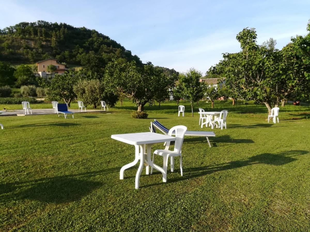阿斯科利皮切诺拉堪迪纳农场旅馆住宿加早餐旅馆 外观 照片